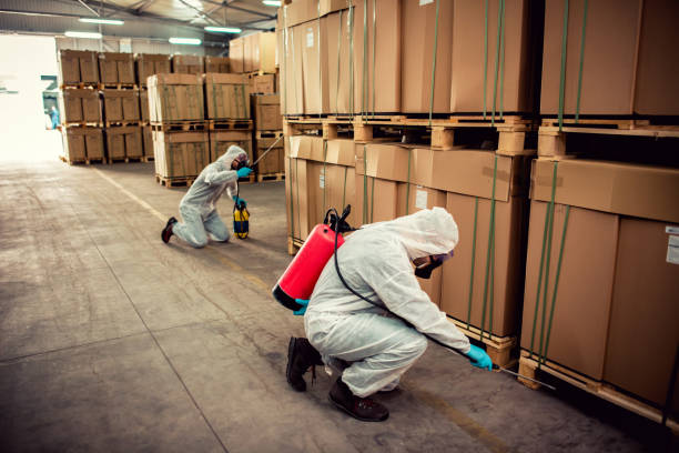 Best Flea Control Services  in Salmon Brook, CT