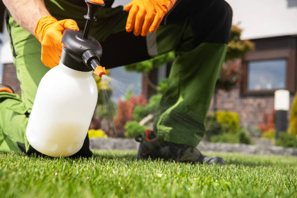 Reliable Salmon Brook, CT Pest Control Solutions