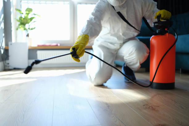 Best Pest Removal Services  in Salmon Brook, CT