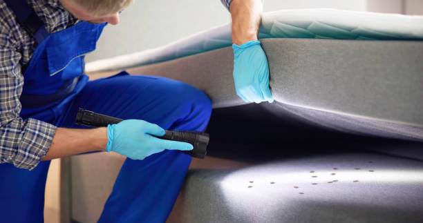 Best Exterminator Services  in Salmon Brook, CT