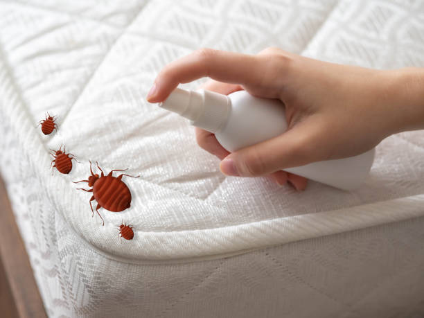 Best Mosquito Control Services  in Salmon Brook, CT