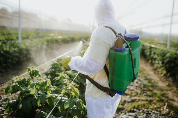 Best Bed Bug Extermination  in Salmon Brook, CT